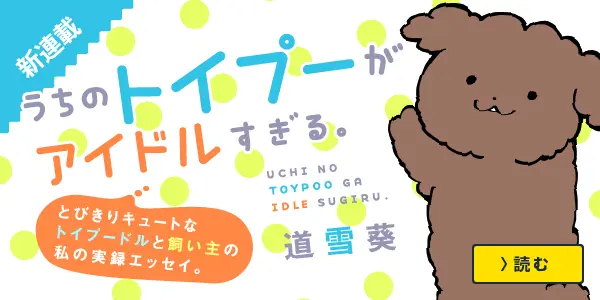 うちのトイプーがアイドルすぎる。