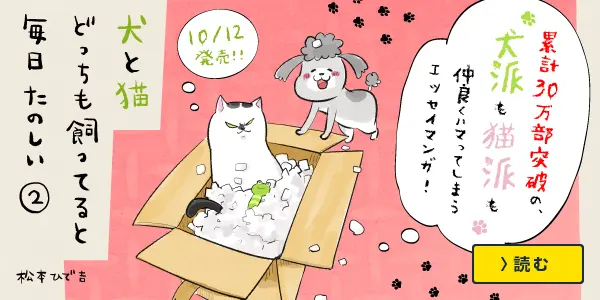 犬と猫どっちも飼ってると毎日たのしい