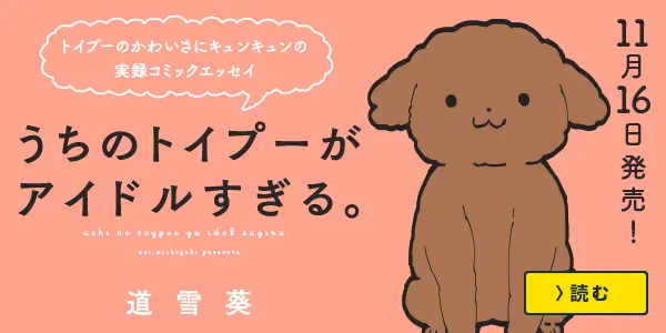 うちのトイプーがアイドルすぎる。