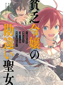 貧乏令嬢の勘違い聖女伝～お金のために努力してたら、王族ハーレムが出来ていました！？～