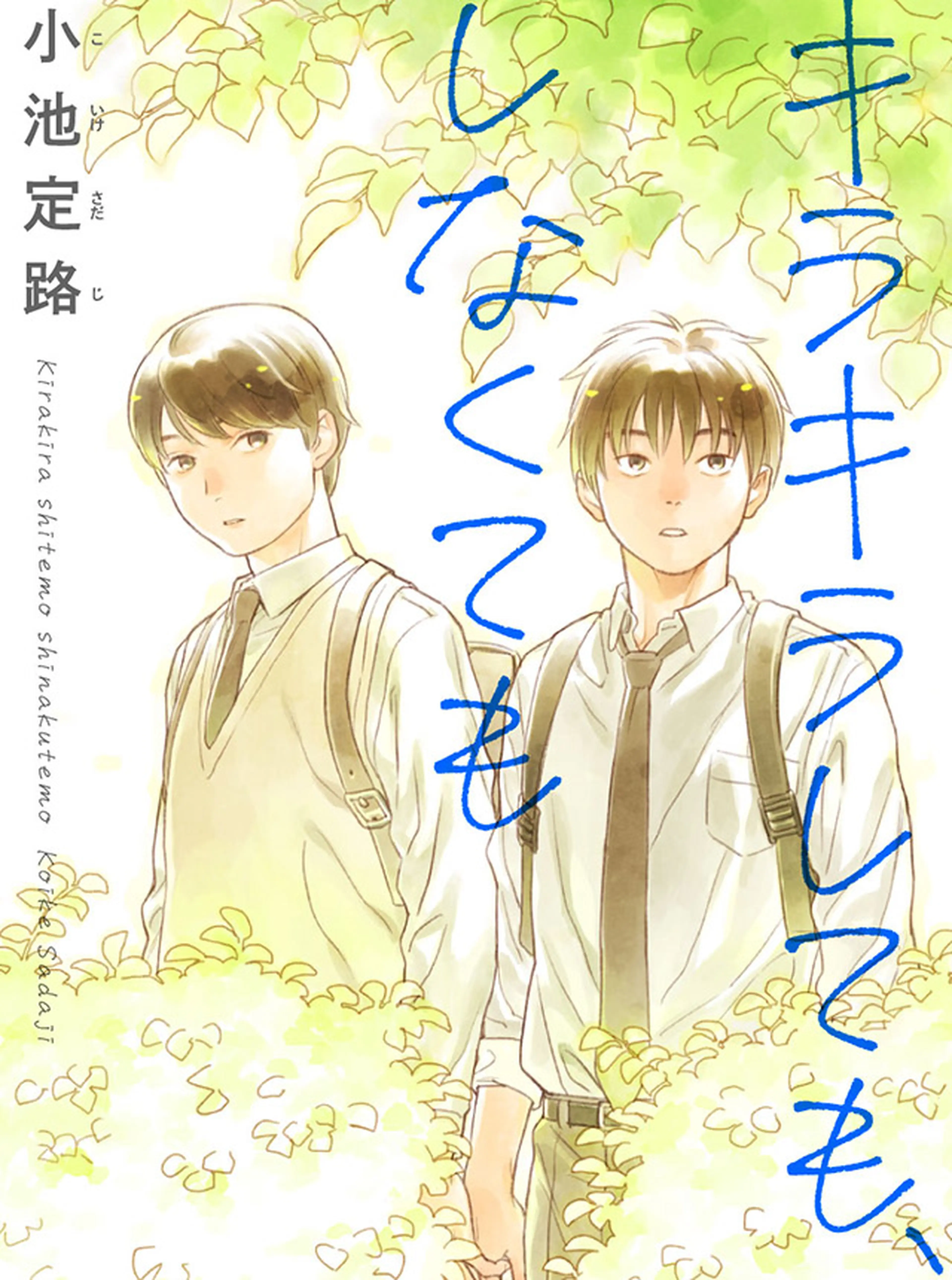 キラキラしても、しなくても 書影