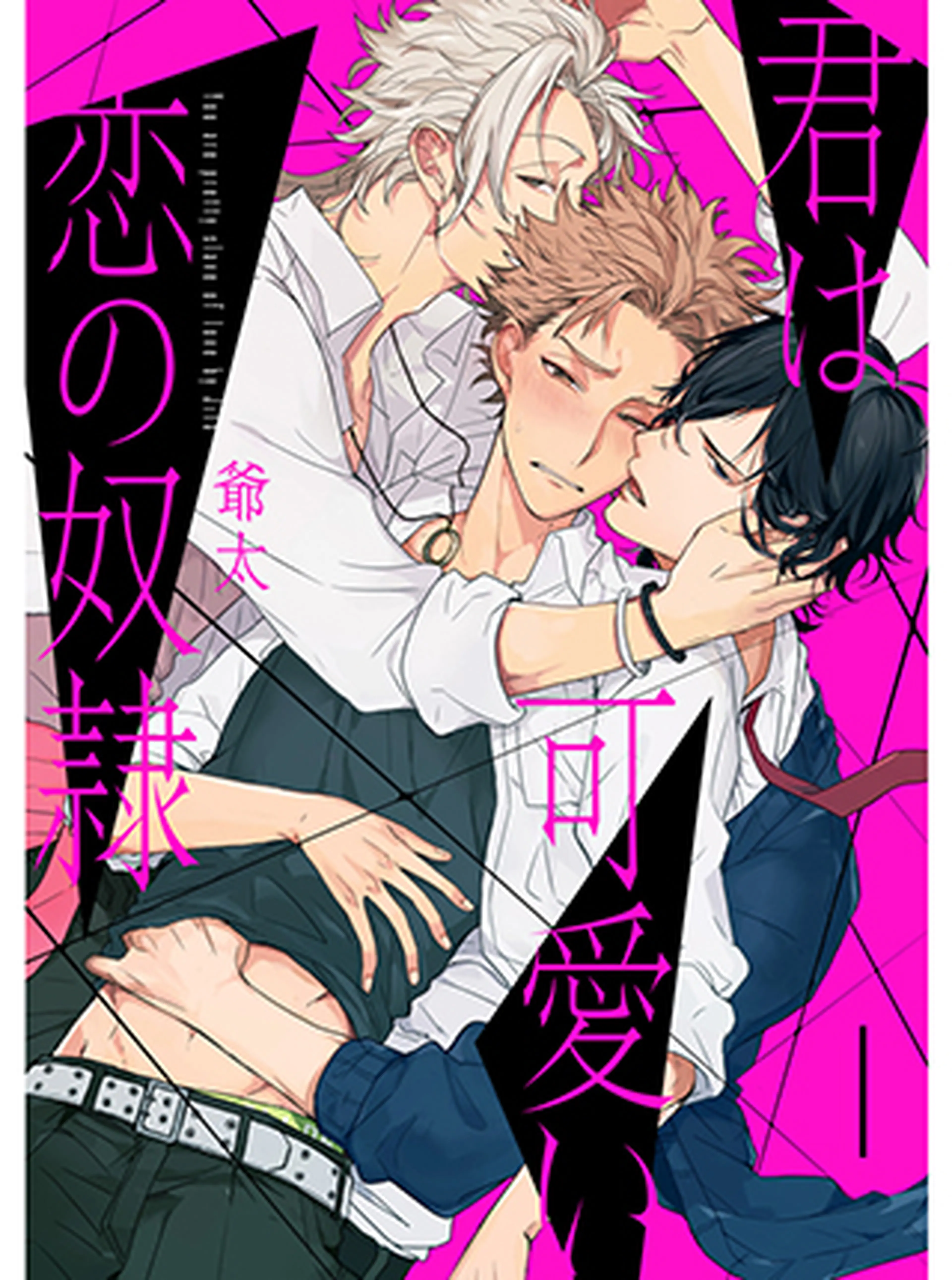 君は可愛い恋の奴隷 書影