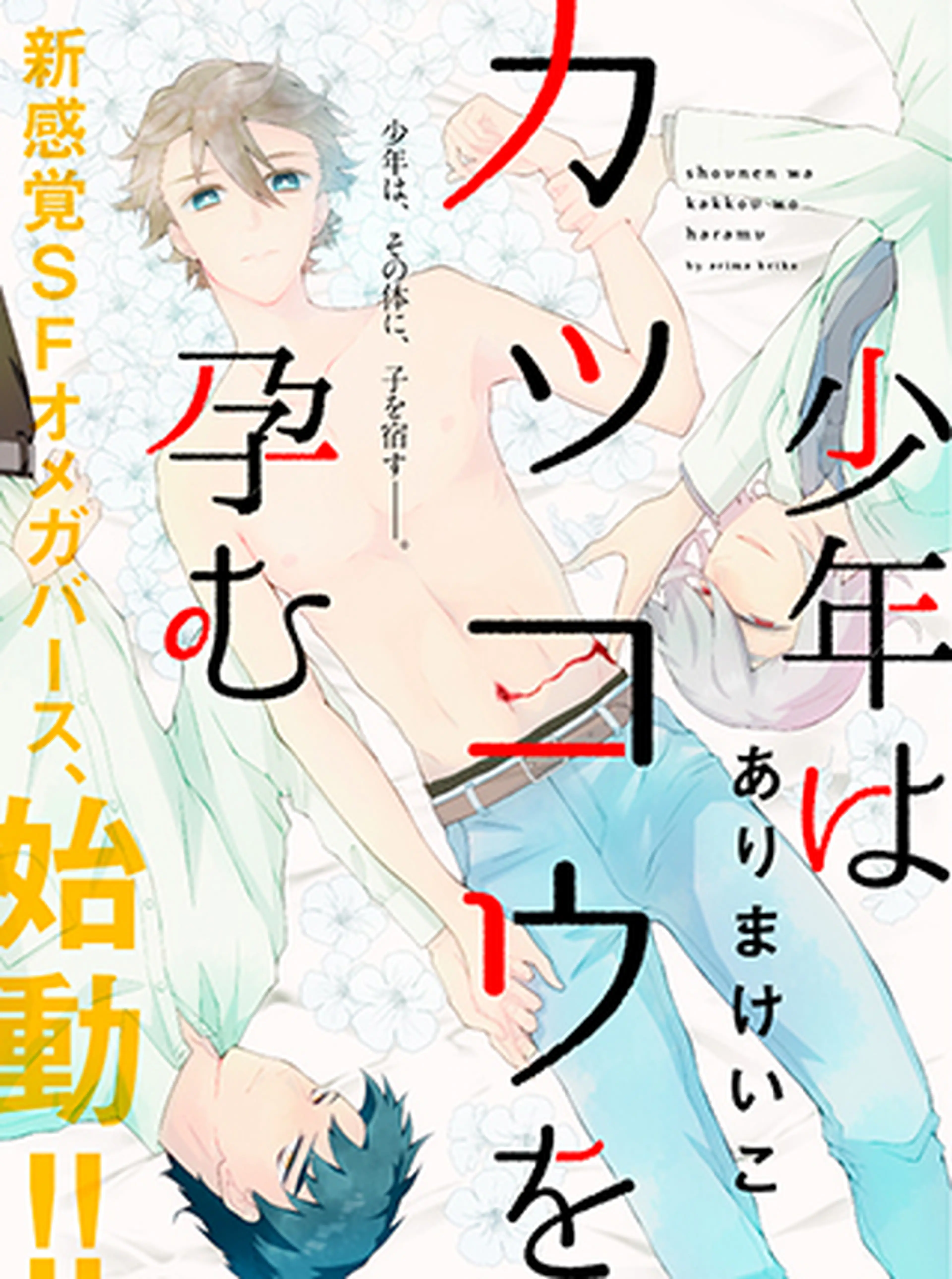 少年はカッコウを孕む 書影