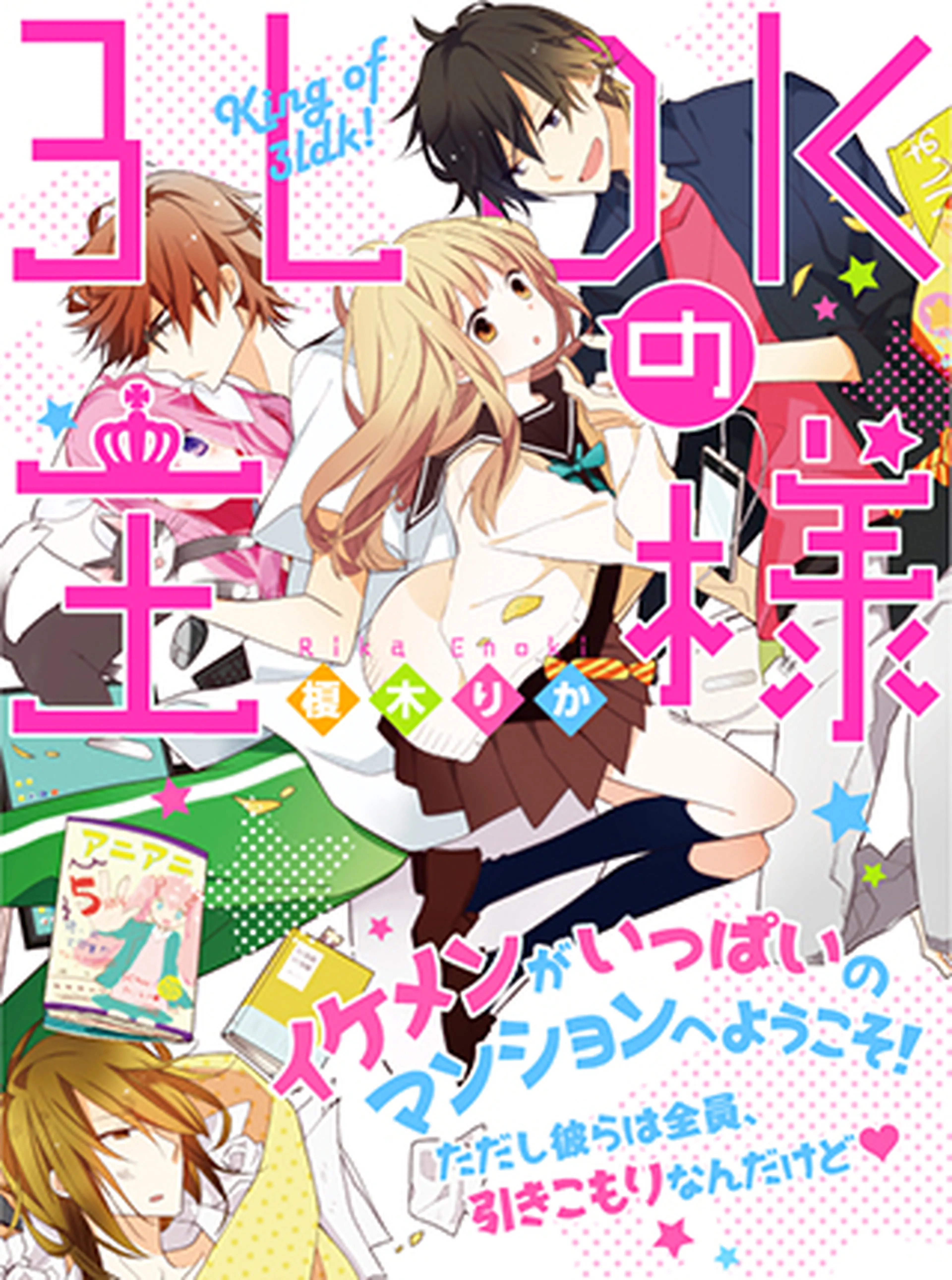 ３ＬＤＫの王様 書影