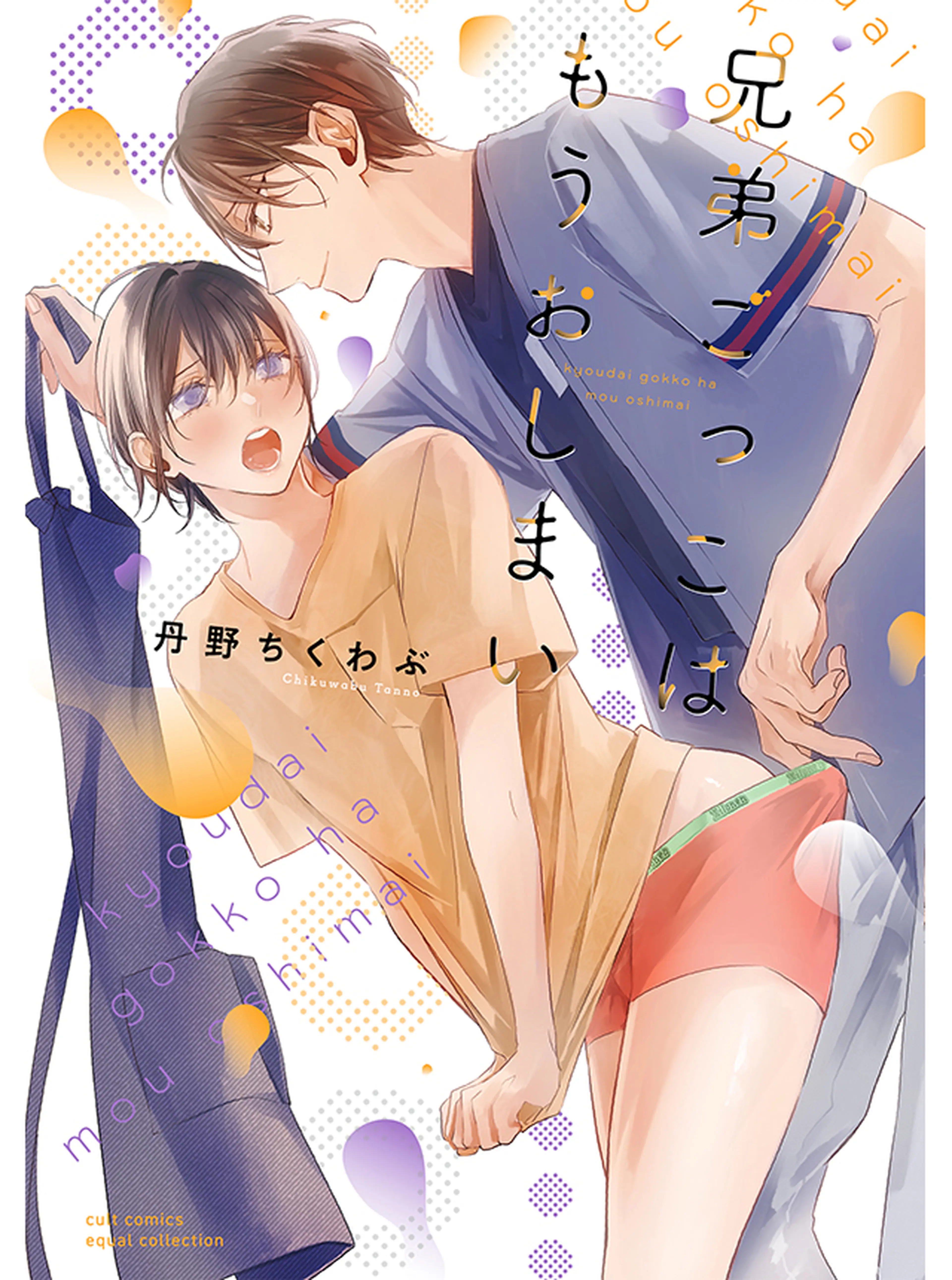 兄弟ごっこはもうおしまい 書影