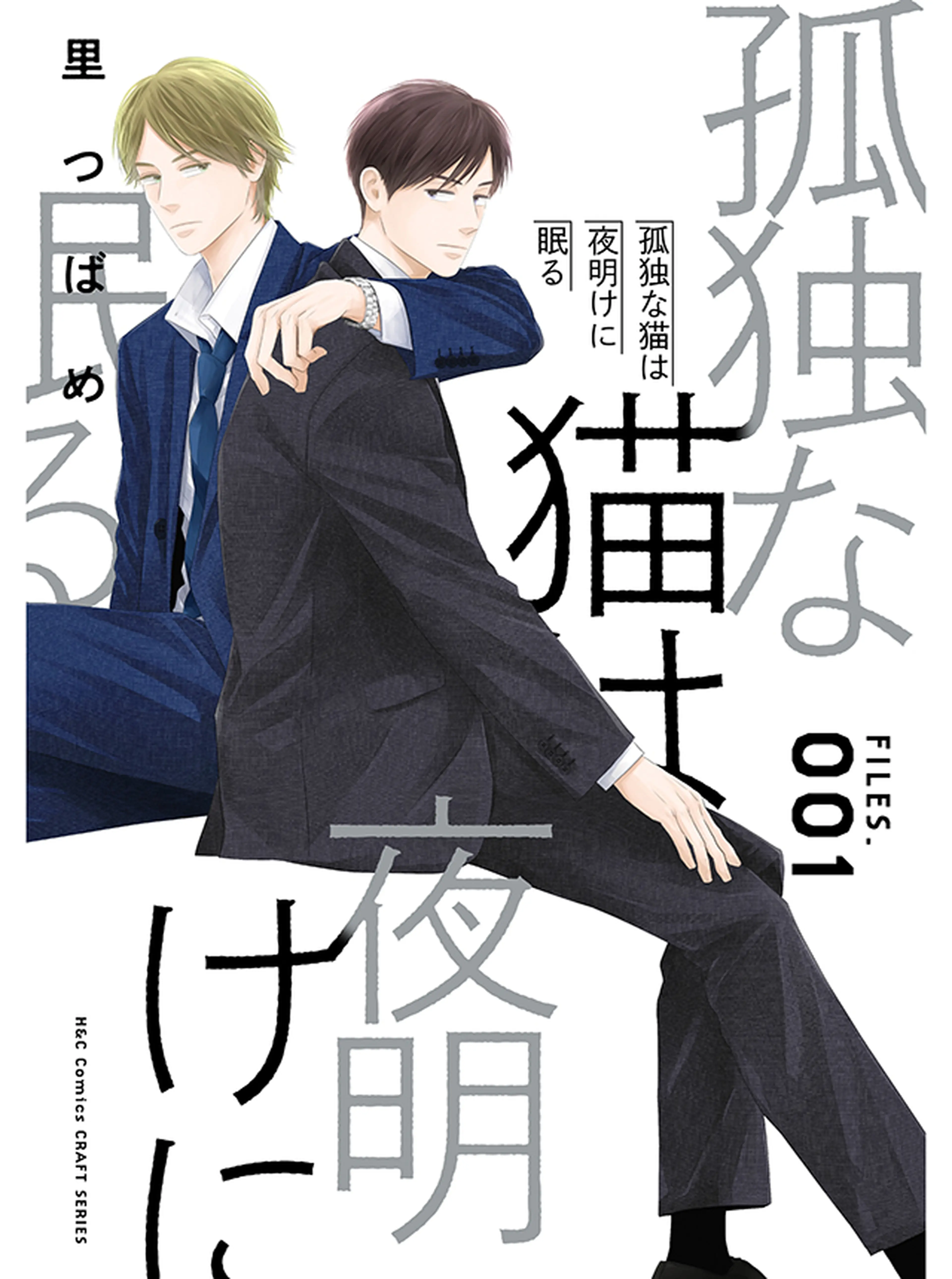 孤独な猫は夜明けに眠る FILES 001 書影