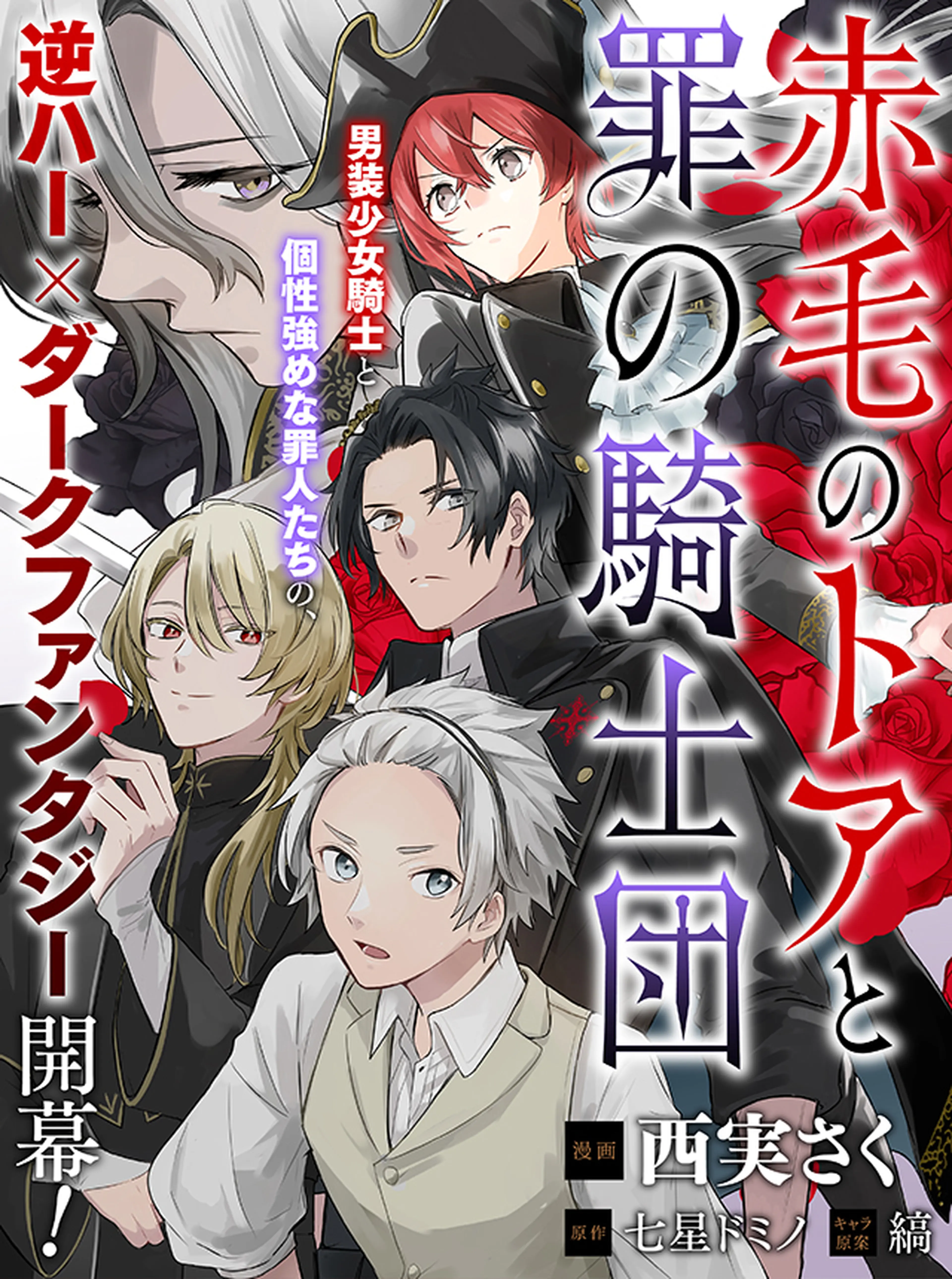 赤毛のトアと罪の騎士団 書影