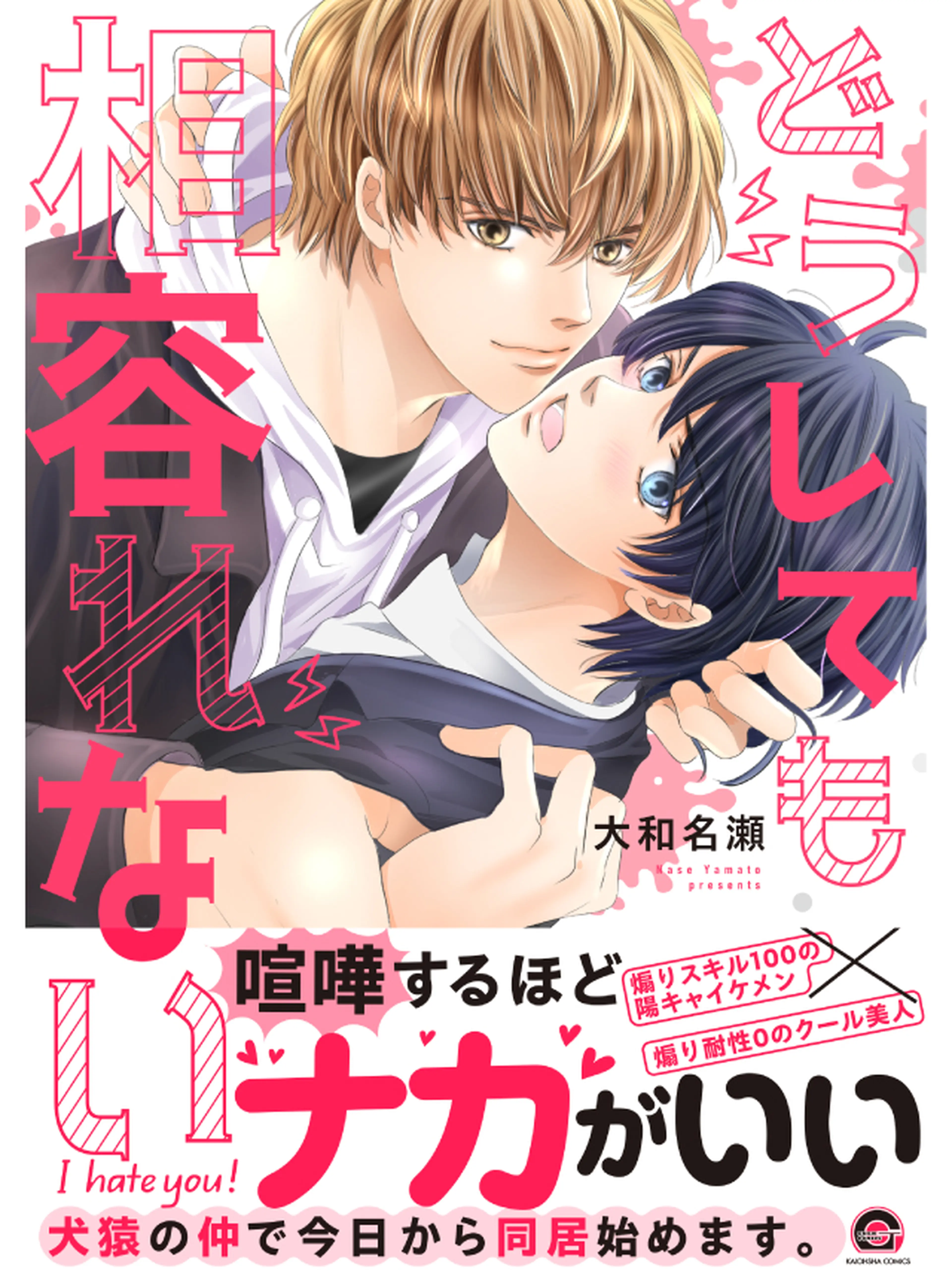 どうしても相容れない 書影