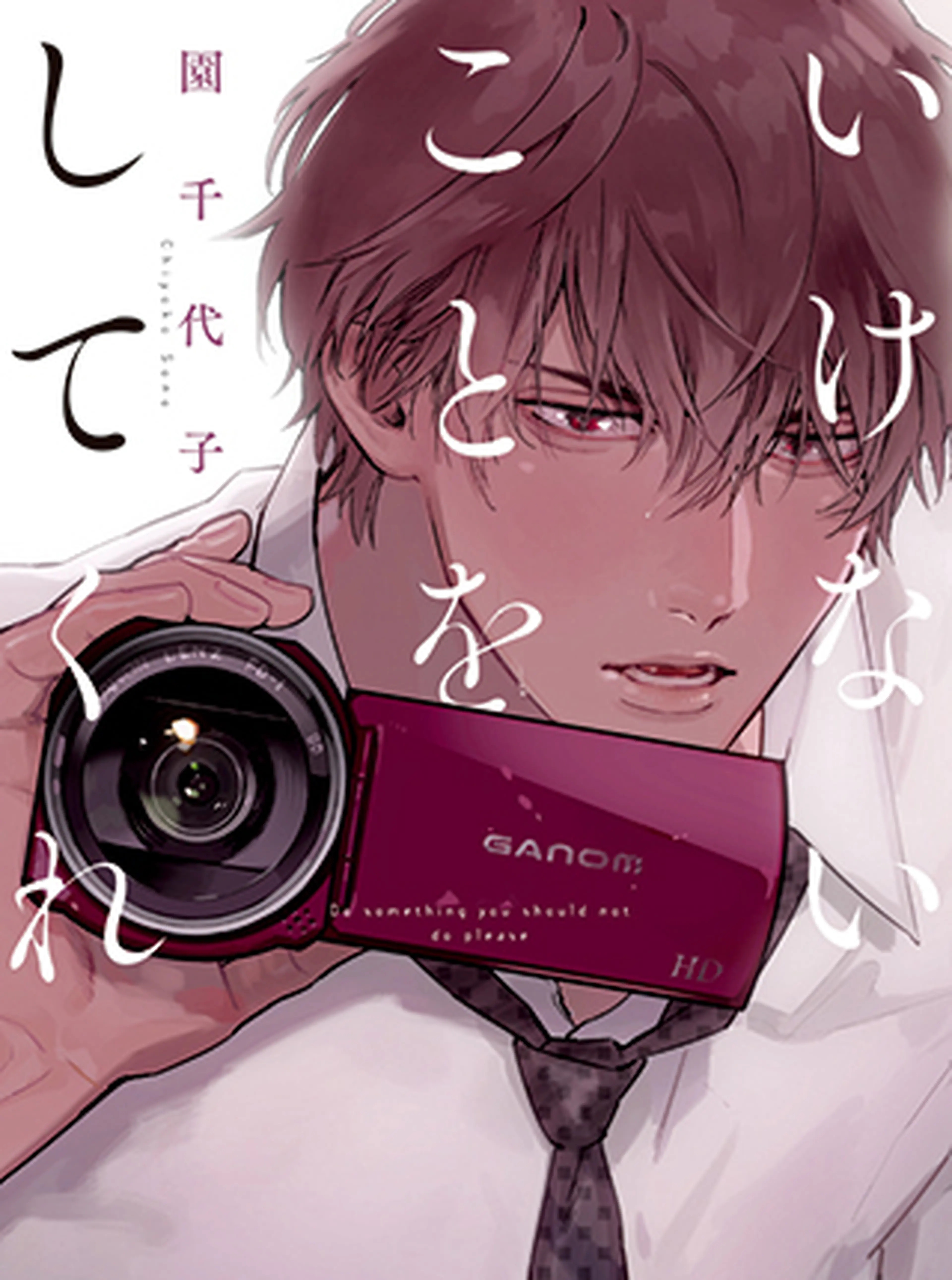 いけないことをしてくれ 書影