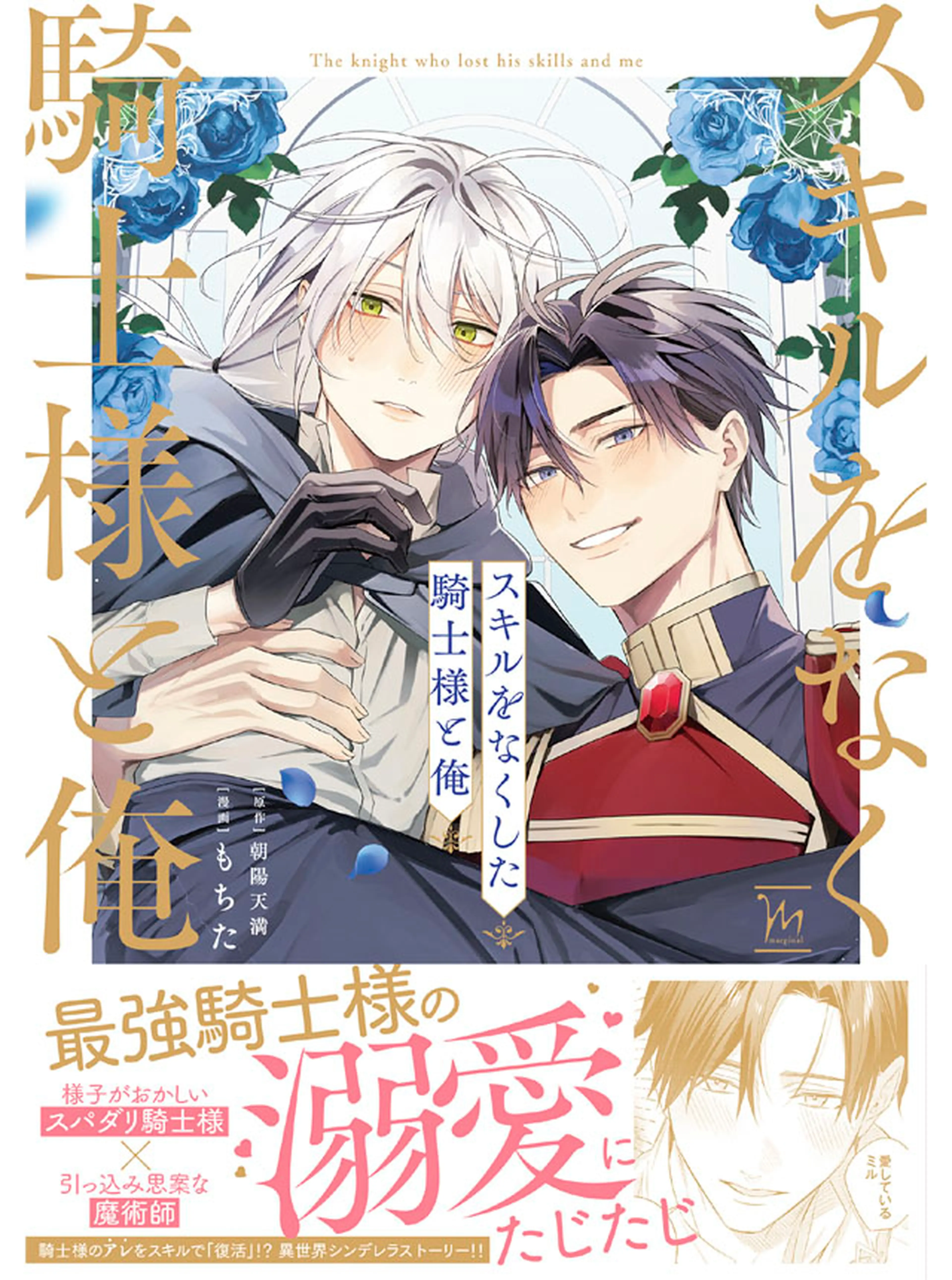 スキルをなくした騎士様と俺 書影