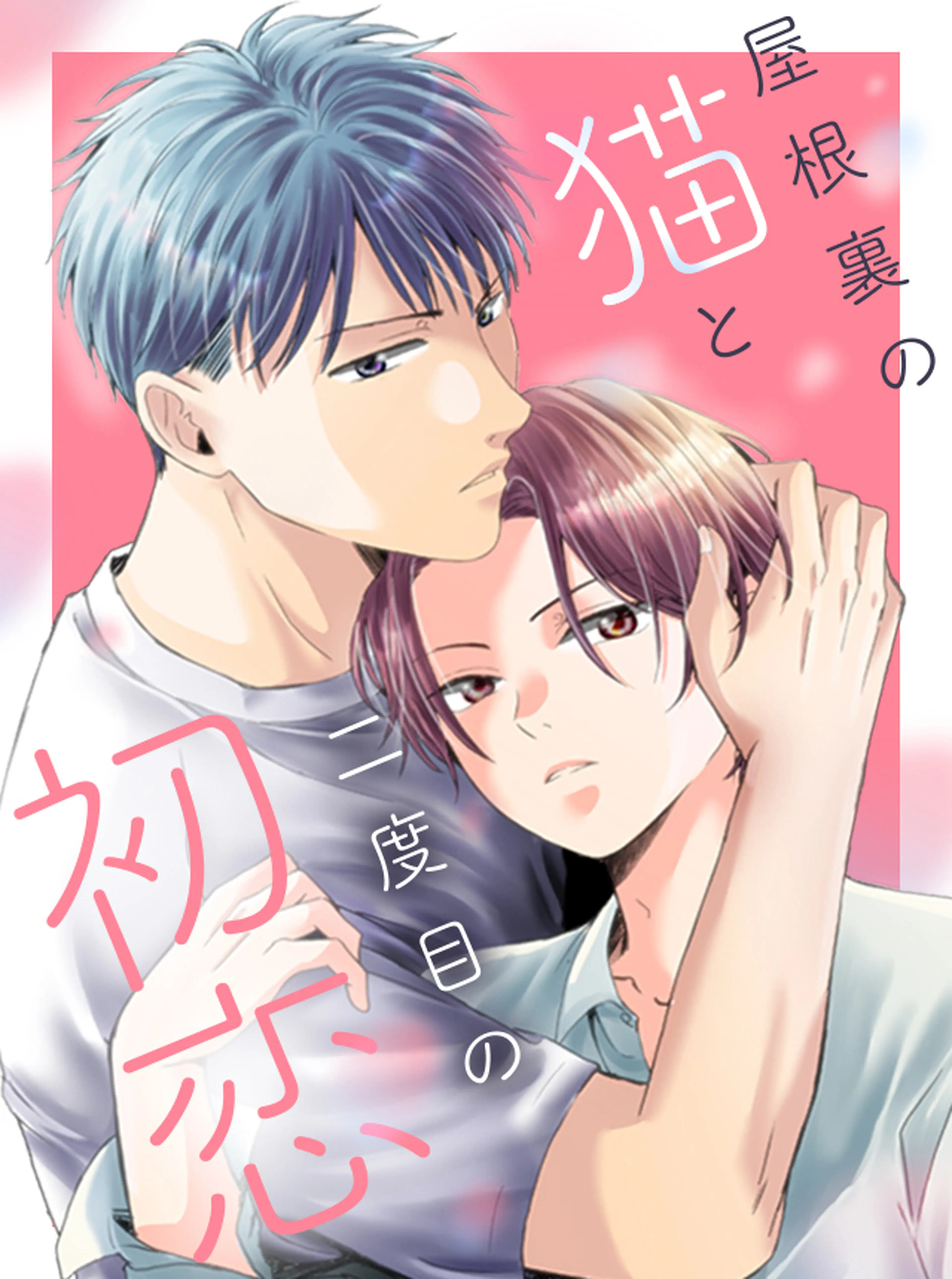 屋根裏の猫と二度目の初恋 書影