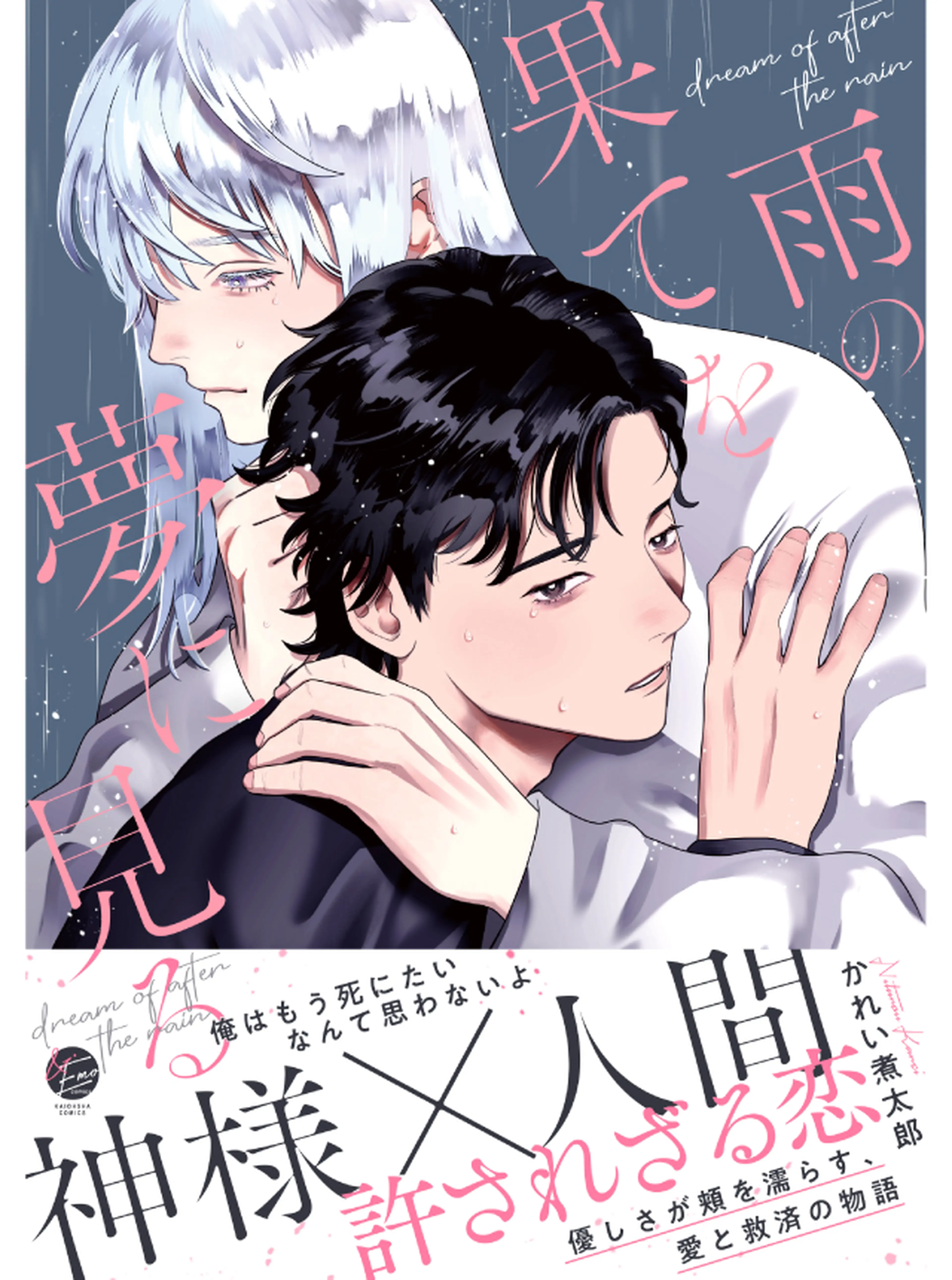 雨の果てを夢に見る 書影