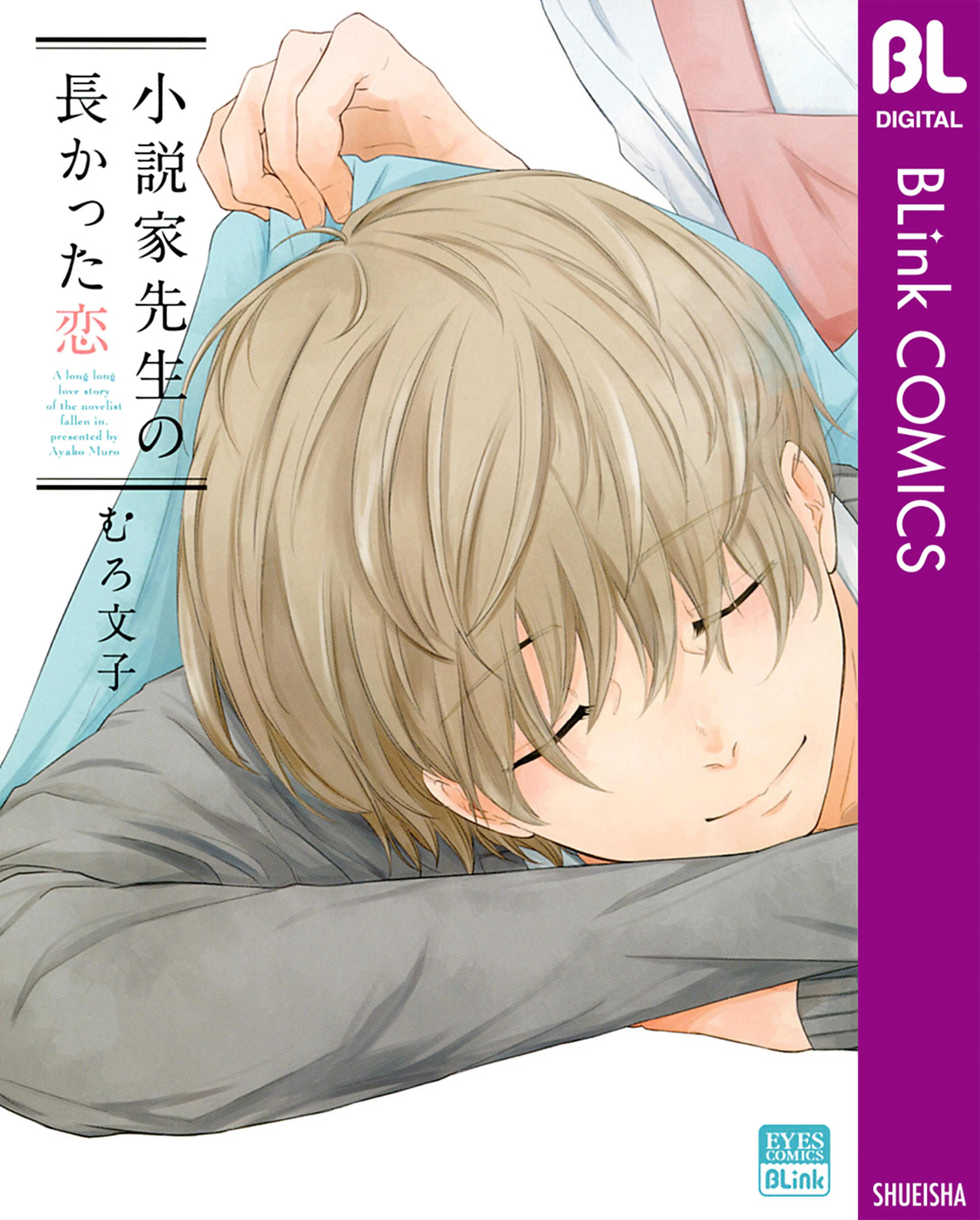 小説家先生の長かった恋 書影