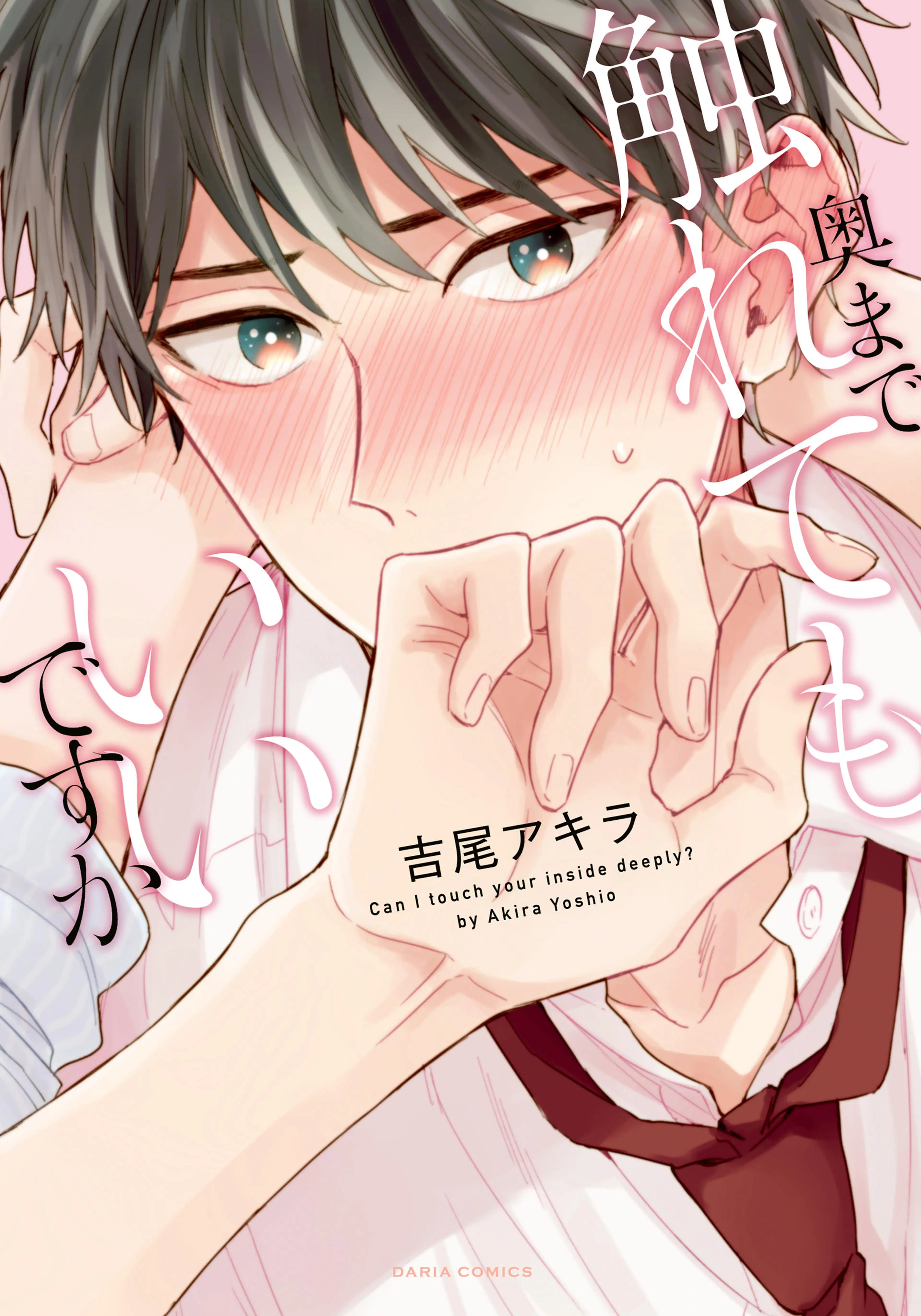 奥まで触れてもいいですか 書影