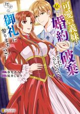 可愛い義妹が婚約破棄されたらしいので、今から「御礼」に参り