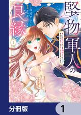 堅物軍人の良縁 さっさと子作りを終えて離婚したいのに、毎晩記憶がト