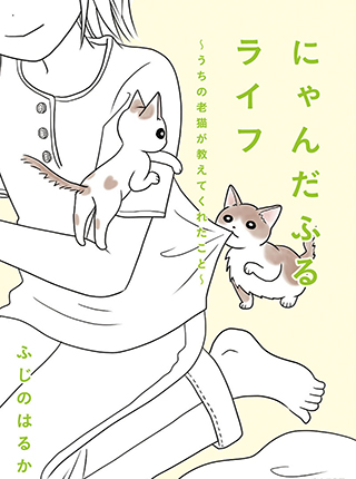 めしねこ 大江戸食楽猫物語 Pixivコミック